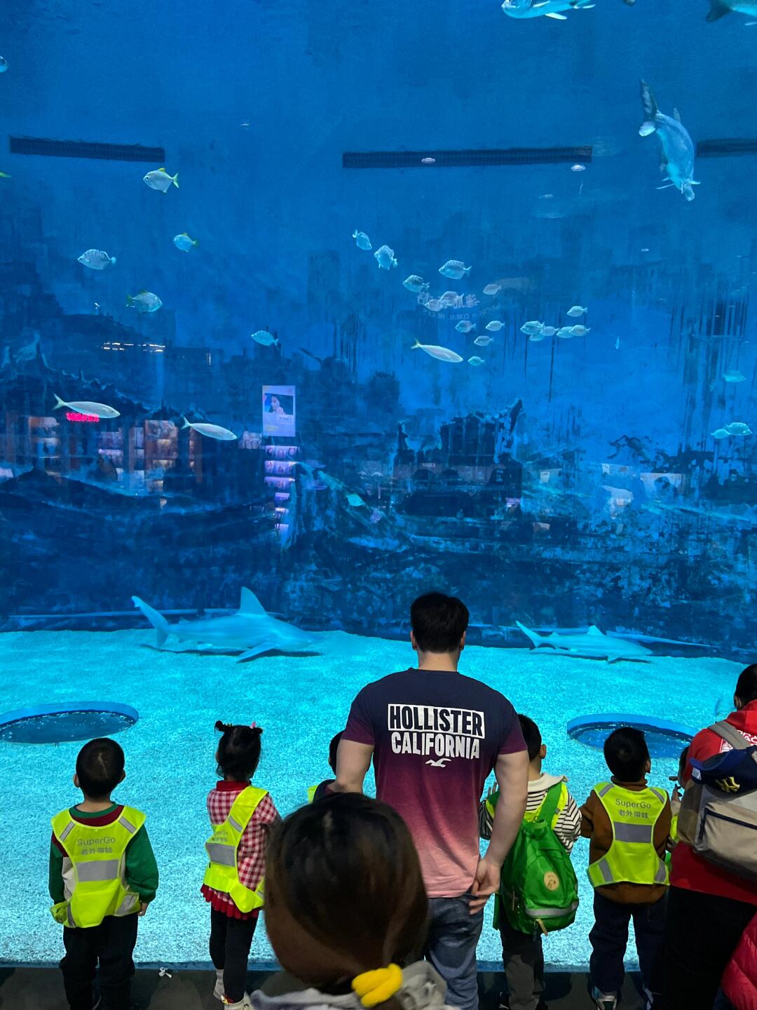 关于大型海洋深潜探索赛,潜入深海体验奇幻之旅的信息 关于大型海洋深潜探索赛,潜入深海体验奇幻之旅的信息