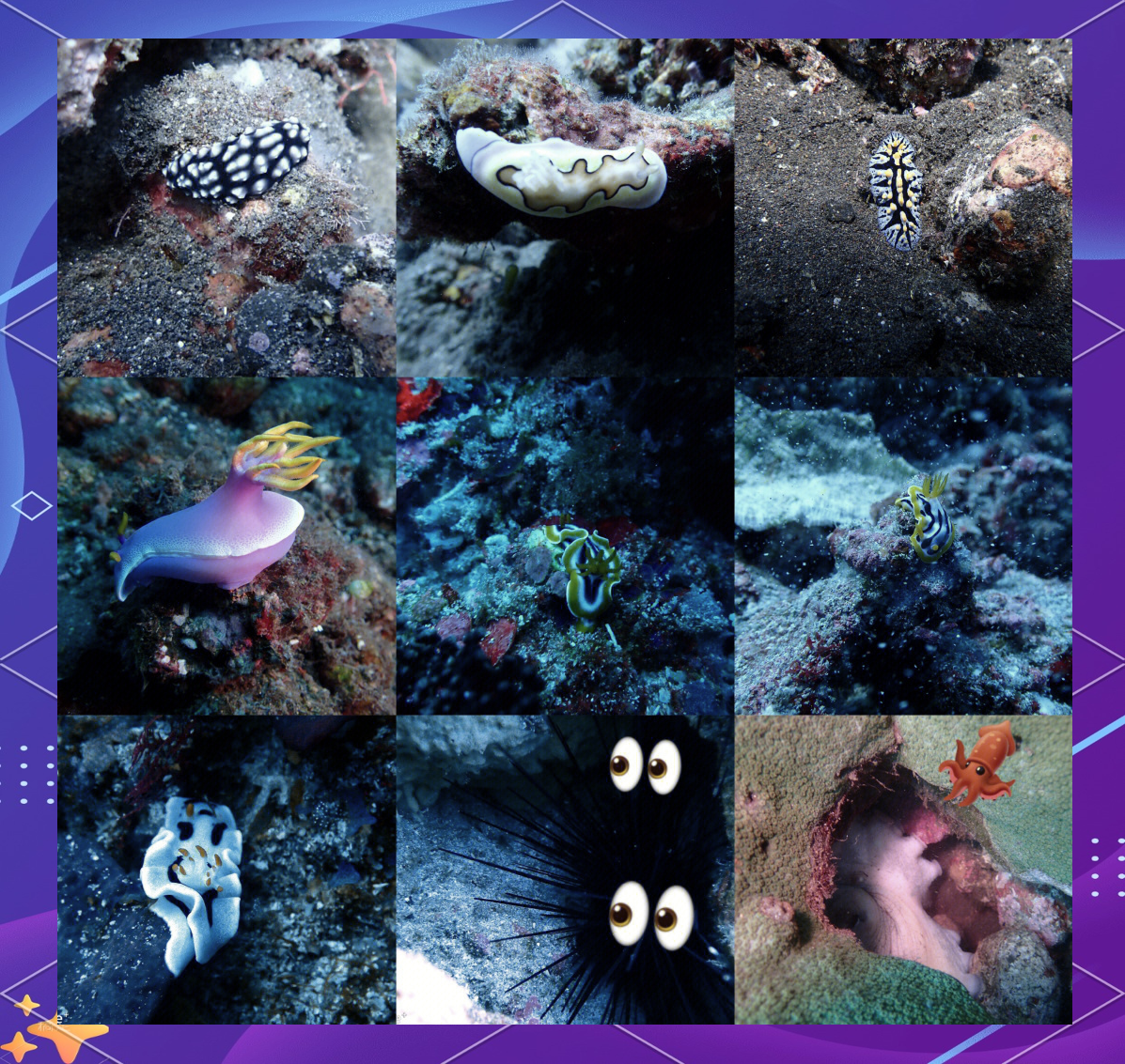 关于大型海洋深潜探索赛,潜入深海体验奇幻之旅的信息 关于大型海洋深潜探索赛,潜入深海体验奇幻之旅的信息