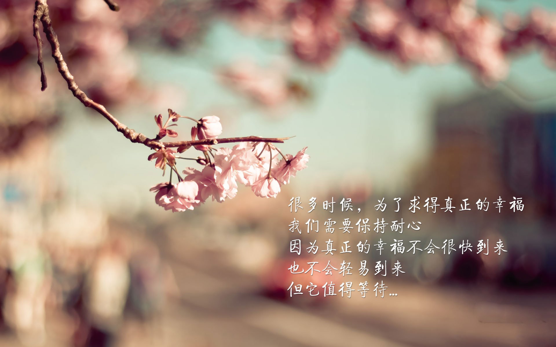 综合射击联赛科技助力成绩分析,射击资格赛成绩